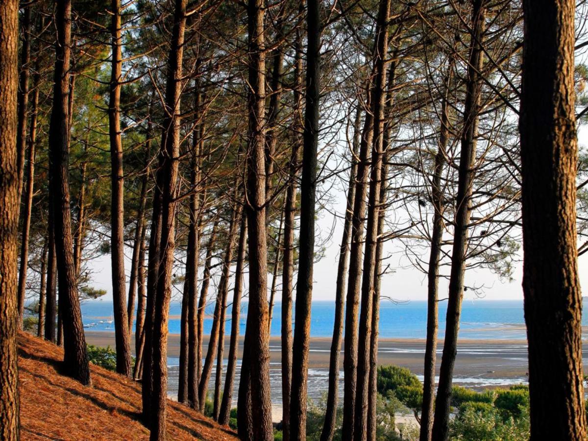 Arcachon Centre : Charmant T2 Avec Loggia, Parking Securise Et Proche Plage - Fr-1-420-61 Exterior foto